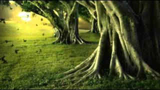 Autumn Leaves - english & portuguese lyrics