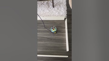 Lily∞Bot with Raspberry Pi Pico W Obstacle Avoidance #LilyBot #NoireSTEMinist #Robot #Robotics