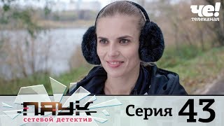 Паук | Сезон 1 | Серия 43