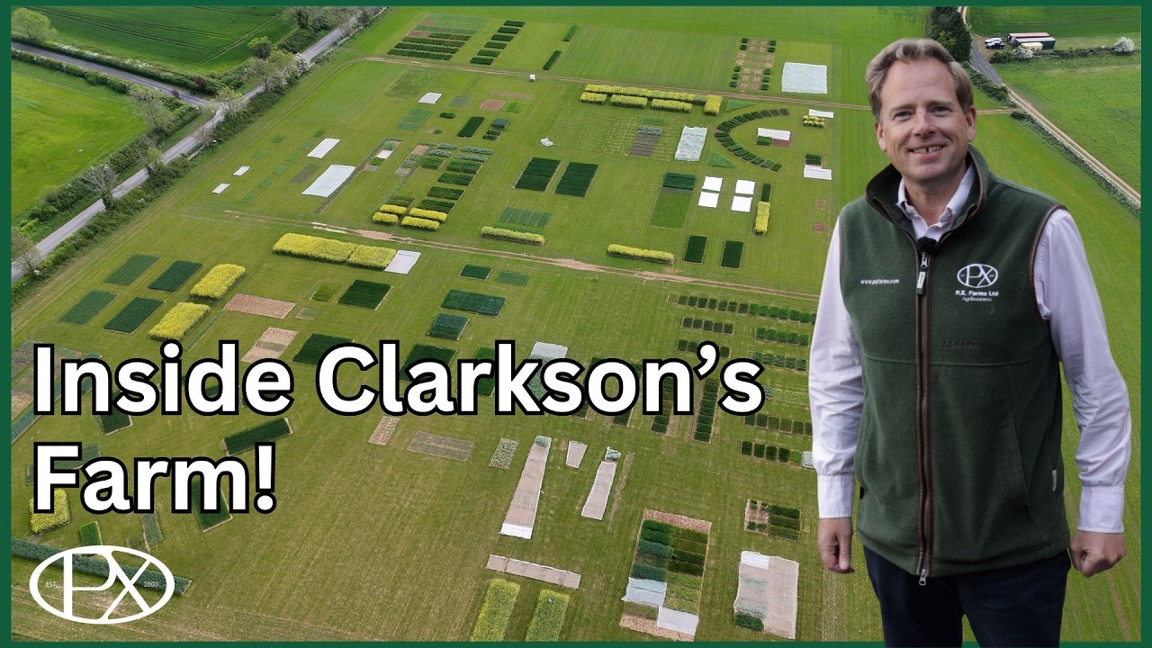 From Diddly Squat to P.X. Farms, Wheat, Barley & Mustard Updates
