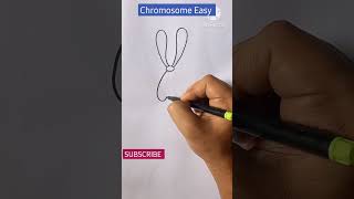 How to Draw Chromosome Easily😍😍 #drawing #draw #drawingtutorial #drawings #shorts #youtubeshorts