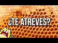 ¡ESTOS VIDEOS REVELARÁN TUS PEORES FOBIAS Y MIEDOS!