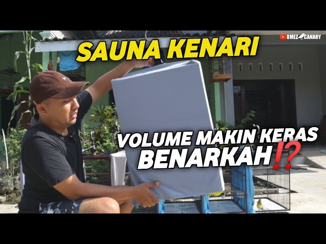 SAUNA UNTUK KENARI BISA BIKIN GACOR❓ VOLUME MAKIN KERAS❓ class=