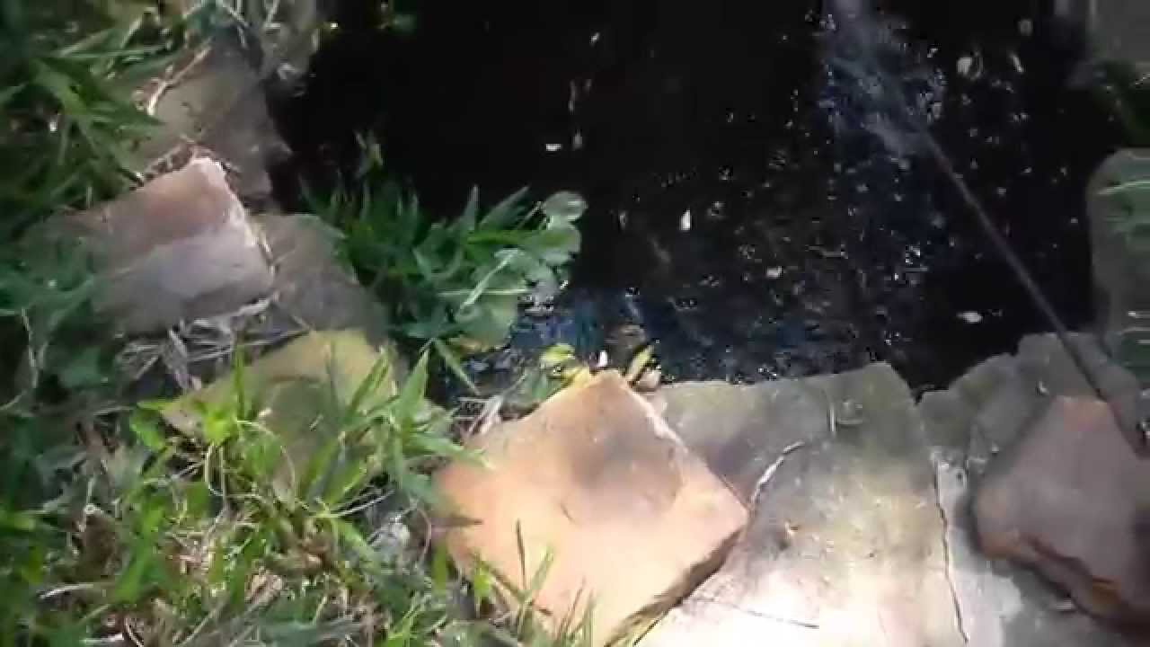 keeper security Rusty Wessel smallest pond