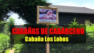 Cabañas de Cabárceno en Cantabria 😍 [Cabaña Los Lobos] | Alojamiento RURAL