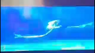 Scrat Continental Crack-Up Part 2