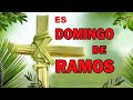 ES DOMINGO DE RAMOS-Canto de entrada para la misa de Domingo de Ramos y procesión...