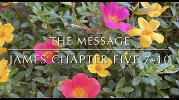 James 5:7-10 - “Be patient like that. Stay steady and strong. The Master could arrive at any time.”