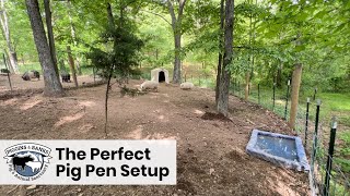 The Perfect Pig Pen Setup For Pet Pigs