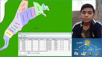 Exportar Data Vectorial y Tabla de Atributos ArcGIS