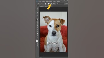 你不知道的PS对称复制方法 #ps #ps零基础教学 #ps教程 #ps小技巧 #ps基础 #photoshop #AI  #illustrator