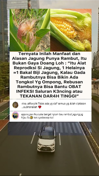 Ternyata Rambut Jagung Bisa Jadi Obat! Bukan Sekadar Gaya Doang!#masukberanda #viralshorts