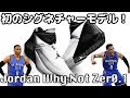 【バッシュ紹介】Jordan Why Not Zer0.1