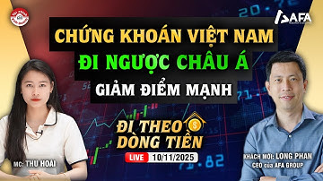 CHỨNG KHOÁN VIỆT NAM ĐI NGƯỢC CHÂU Á, GIẢM ĐIỂM MẠNH | #ĐTDT 10/11/2025