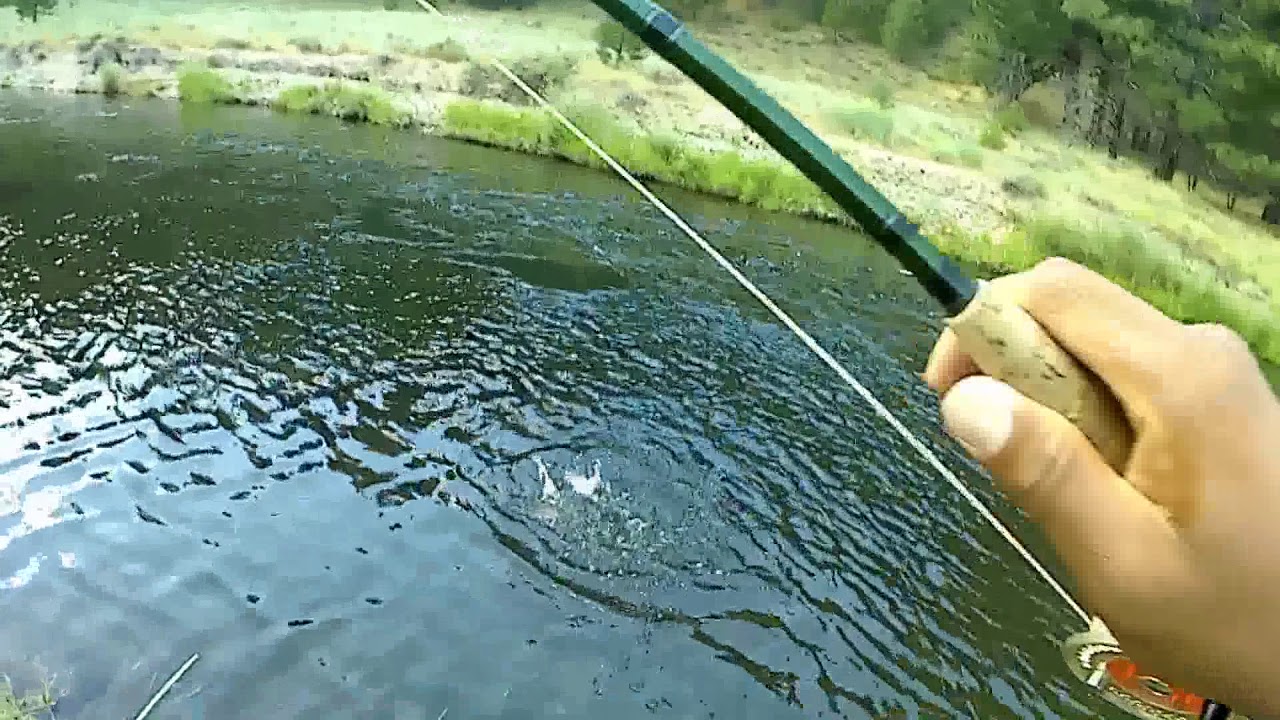 California Dry Fly Fishing August 2017 pt. 2 YouTube