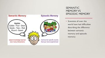 Presentation Semantic Memory