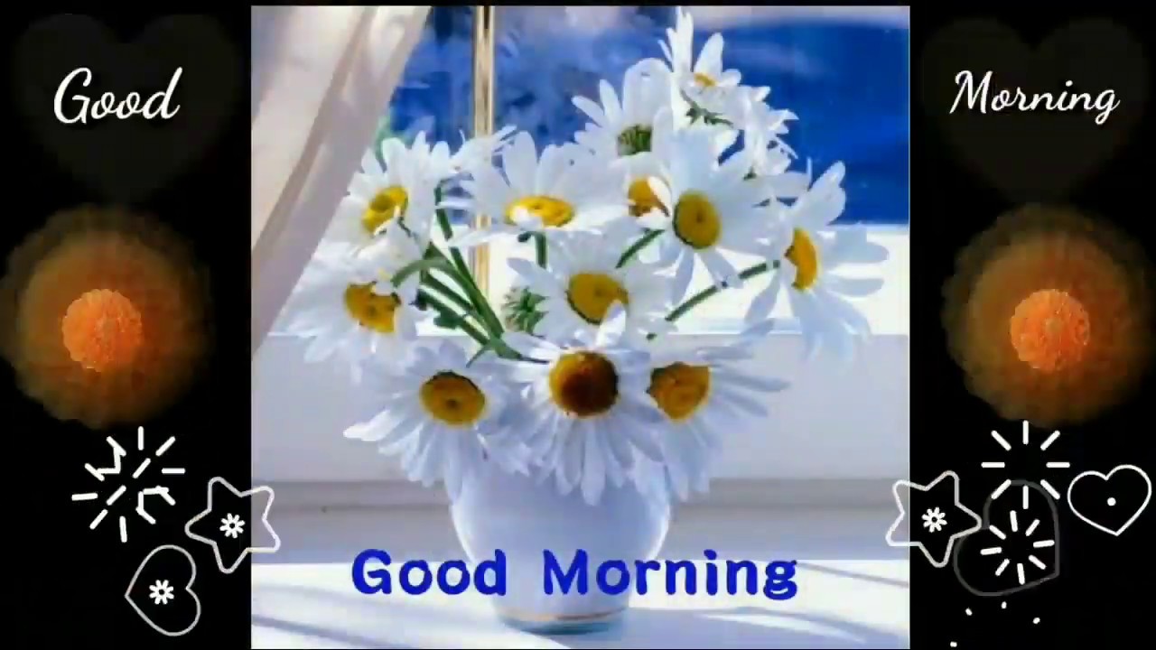 Good Morning Friday And Best Good Morning Images And Whatsapp