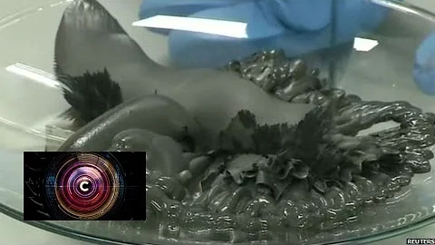 Liquid that can stop bullets - BBC News