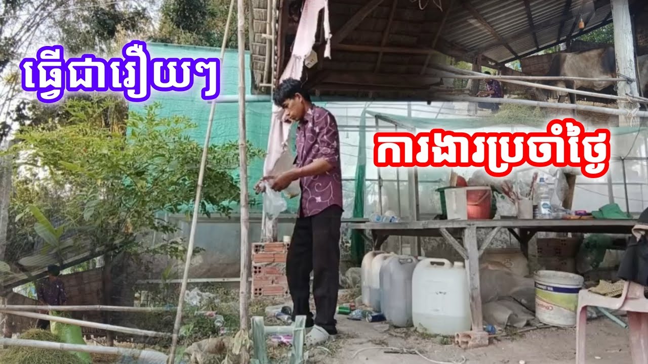 ធ្វើការងារប្រចាំថ្ងៃរបស់ ខ្ញុំជារឿយៗនៅផ្ទះ