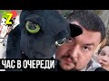 Остров Мечты после КАРАНТИНА! новые аттракционы