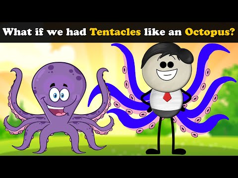 What if we had Tentacles like an Octopus? + more videos | #aumsum #kids #children #education #whatif
