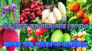 Biswas Nursery || মাত্র ৪০ টাকা থেকে শুরু বিদেশি লেবু গাছের দাম || বিশ্বাস নার্সারি গুমা