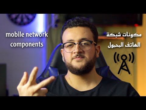 فيديو: لماذا تحتاج شبكة