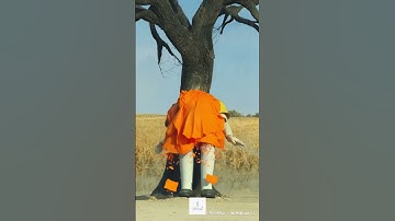 Squid Game Ai Mentality Falls #squidgame #squidgame2