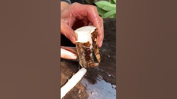 Easy way to peel cassava skin – simple and fast process #shorts