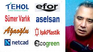Ağaoğlu Gyo - Tehol - Efor - Sümer Varlık - Aselsan - Işık Plastik - Netcad - Ecogreen Hisse Yorum