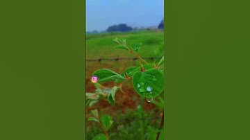 ترجمه‌ی آیات 133-134 سوره نساء