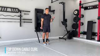 Top Down Cable Curl
