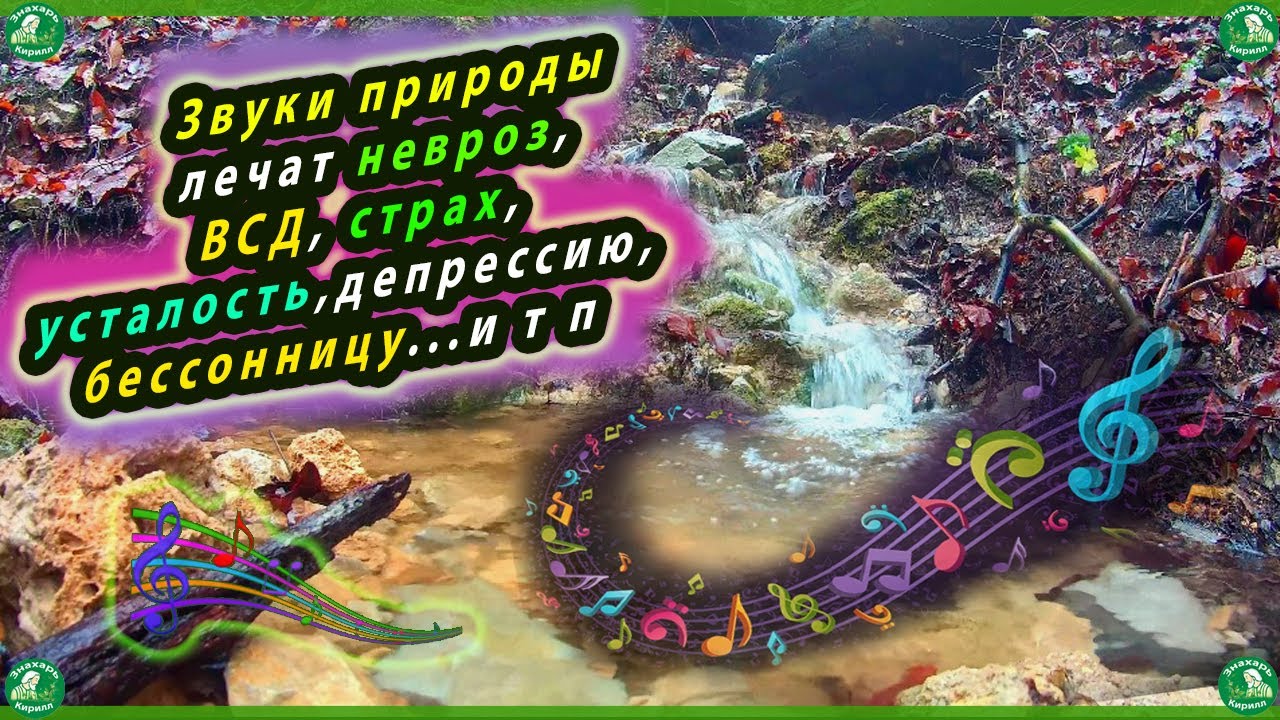 Звуки природы лечат невроз, ВСД, страх, ПА ..и т п.. Слушайте в день 20 ...