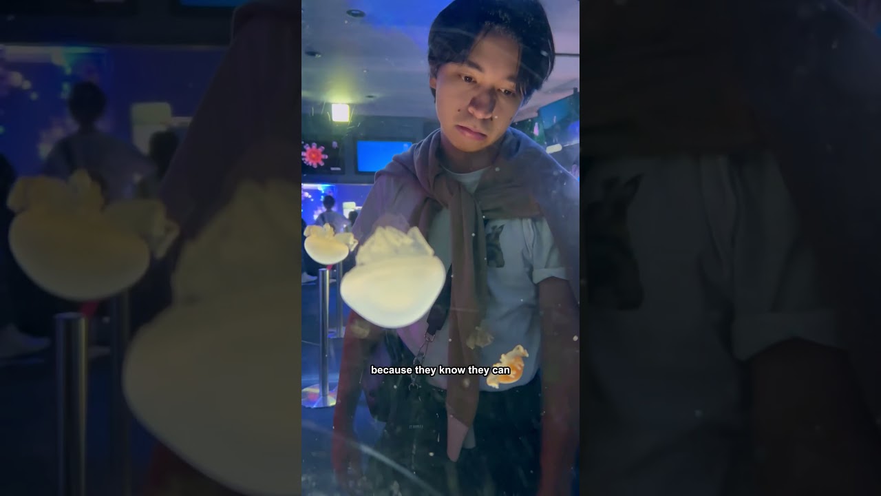 4 туристические ловушки, которых ОБЯЗАТЕЛЬНО следует избегать в Японии! 😎🇯🇵 