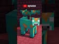 The Forgotten Nether Update Feature...
