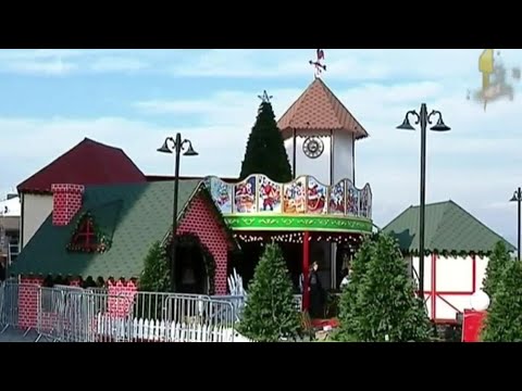 საახალწლო ნაძვის ხე