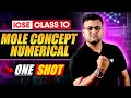 Master Mole Concept And Numerical in Just One Shot | ICSE Class 10