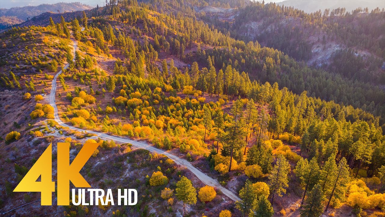 4K Drone Footage - Fall Colors of Mountain Home Road  Leavenworth  WA State - 3 Hour Drone Film
