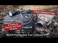 DSLR Camera trap - A Guide to Flash and Camera mounts