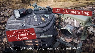 DSLR Camera trap  A Guide to Flash and Camera mounts