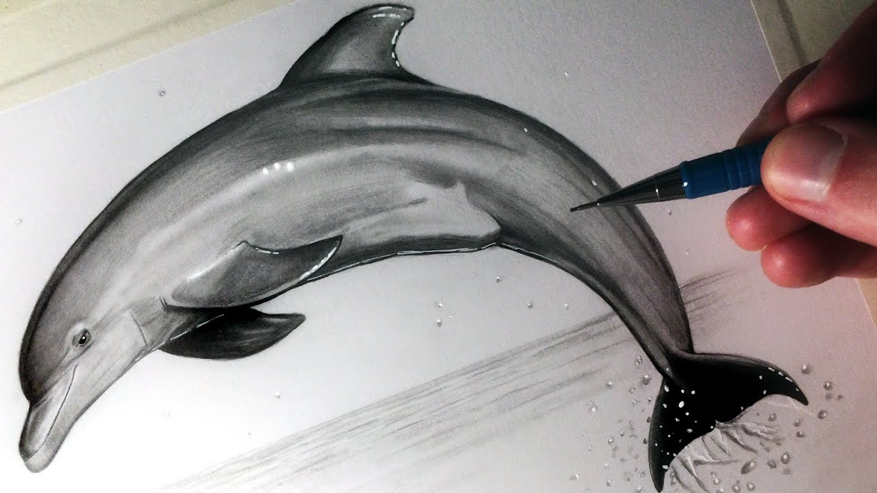 Pencil shadings of Dolphins  Pencil drawing images Cool pencil drawings  Art drawings sketches simple