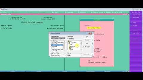 Excel to Tally Import Payment Voucher Tally Erp to Excel Import TDl  TCP File