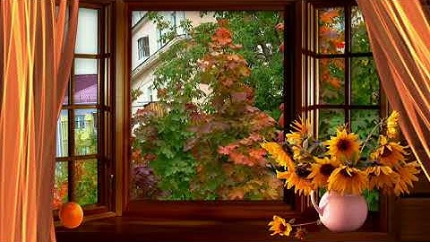 The sound of silence.  Looking out on the window (No sound just visual)