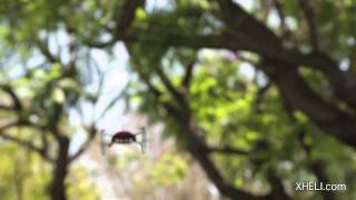 Walkera QR Ladybird Quadcopter Review