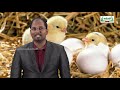 முப்பரிமாணம் Std 12 TM Bio Zoology Reproductive Health Part 01 Kalvi TV 