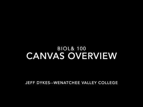 WVC CANVAS OVERVIEW--FALL 2020