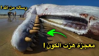 شاهد ماذا حدث عندما امسكوا بالحوت الازرق .. رساله من الله !!! ومعجزة هزت الكون !!!!