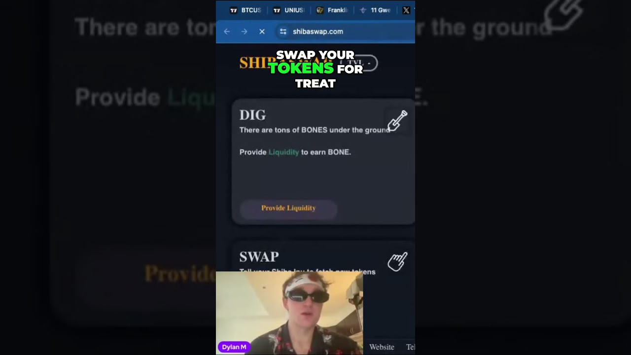 The Ultimate Guide to Swapping SHIB for TREAT on SHIB Swap