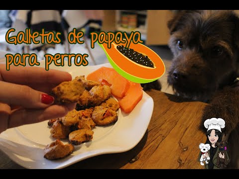 Video: Cómo Hacer Galletas De Papaya