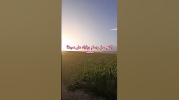 #تلاوة_خاشعة_تلاوة_هادئة_تلاوة_سورة_البقرة_تلاوة_سورة_الفاتحة